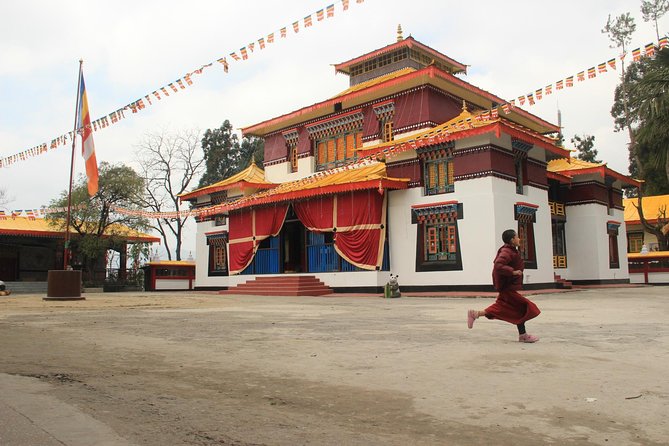 Gangtok Hill & Buddhist Monasteries Tour - Transportation and Guide