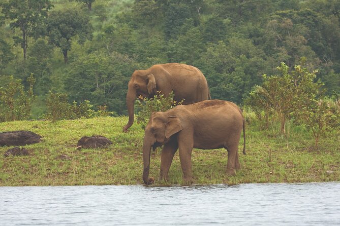 Gems Of South India Tour: Caves, Palaces, Temples & Backwaters - Accommodation Insights