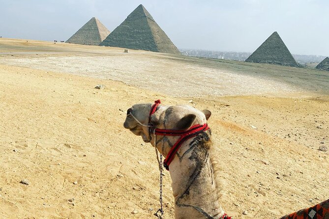 Group Tour To Pyramids of Giza ,Memphis City And Sakkara Pyramid - Transportation Details