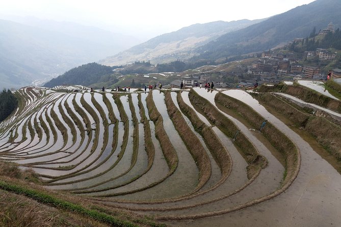 Guilin Tea Plantation and Longji Rice Terraces Day Tour From Guilin Hotel - Frequently Asked Questions
