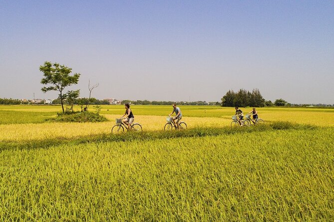 Half Day Cycling in the Hoi An Countryside - Cultural Encounters