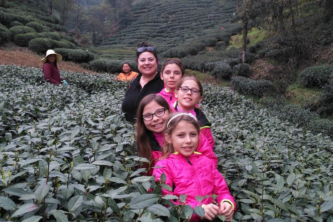 Half-Day Hangzhou Private Tour With Green Tea Village and Lingyin Temple - Lingyin Temple Visit