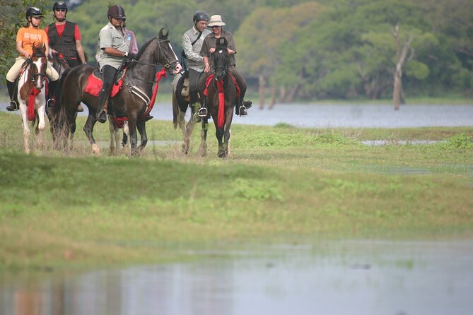 Half Day Horse Riding in Dambulla - Inclusions