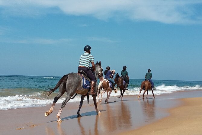 Half-Day Horse Riding in Kalpitiya - Pricing Details and Guarantees