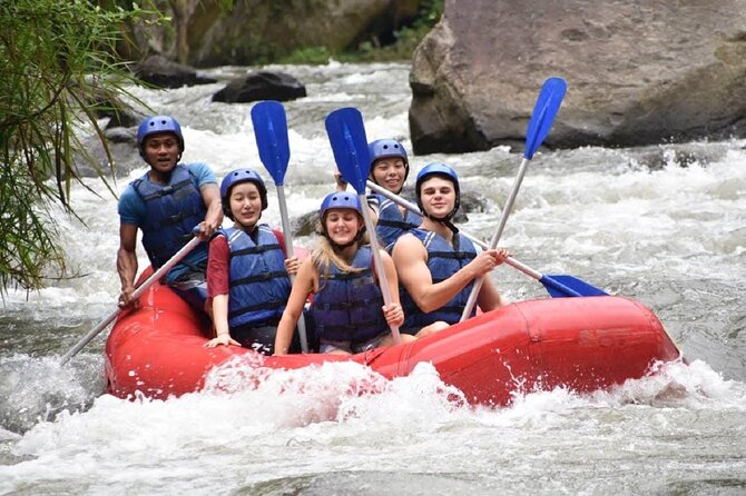 Half-Day Private Ayung Rafting Adventure in Ubud River - Additional Info and Price Information