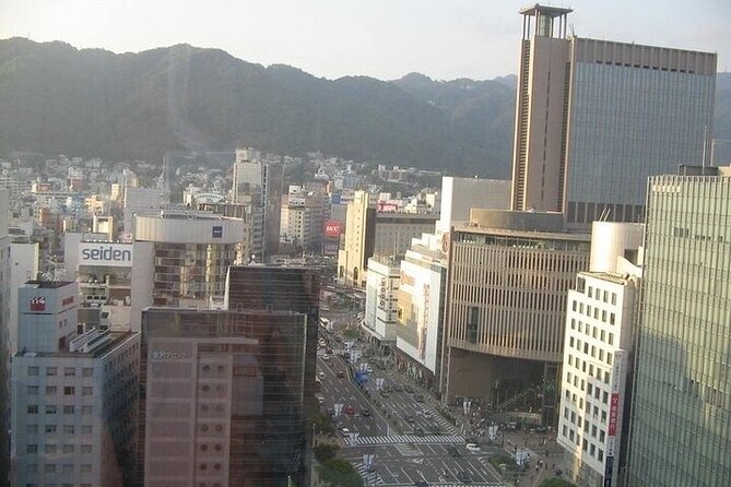 Half-Day Private Guided Tour to Kobe City - What To Expect
