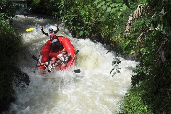 Half-Day Private Rafting Adventure in Bali Ayung River With Lunch - Fitness and Group Size