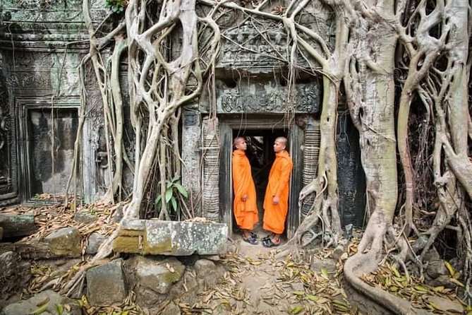 Half Day Tour- Angkor Wat, Ta Promh, Bayon Temple & English Guide - Pricing, Booking, and Expectations