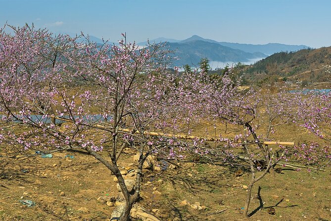 Hanoi Food Tour - Overnight Train and Sapa 2 Days 1 Night Package - Meeting and Pickup Information