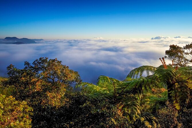 Hike to Horton Plains Border via Rail Tracks - Additional Information