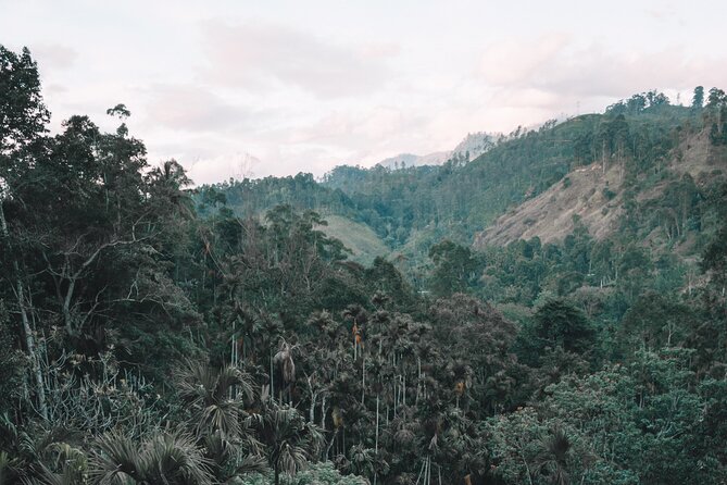 Hiking Private Tour in Gampaha - Tour Start Time and Duration