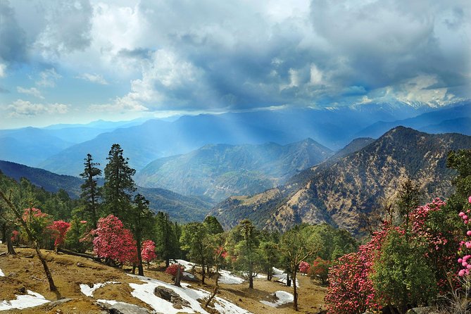 Himalaya Nag Tibba Trek Tour From Delhi - Frequently Asked Questions