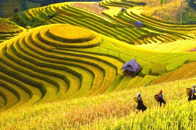 Hoang Su Phi Private 2 Day 1 Night Tour From Ha Giang - Pickup Points