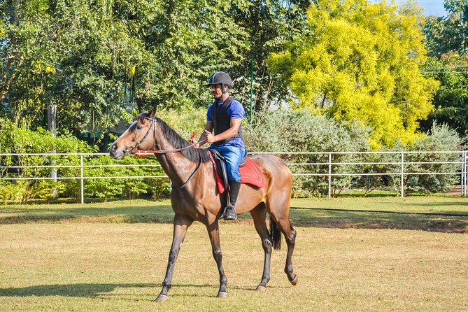 Horse Riding for Professionals in Dambulla - Equipment Provided