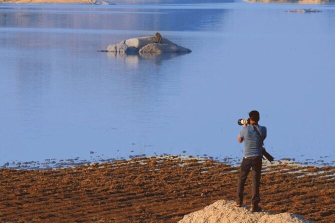 Jawai Jungle Safari From Udaipur 2 Night 3 Days - Inclusions and Accommodation