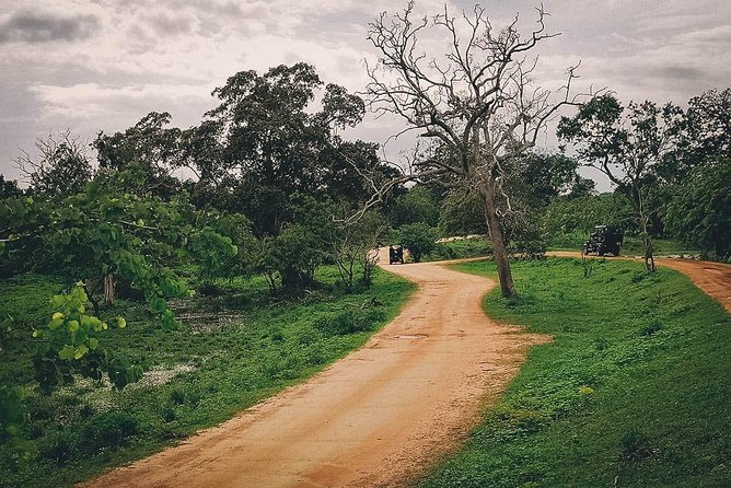 Jungle Trekking in Yala Buffer Zone From Hambantota Harbor - Additional Recommendations for Participants
