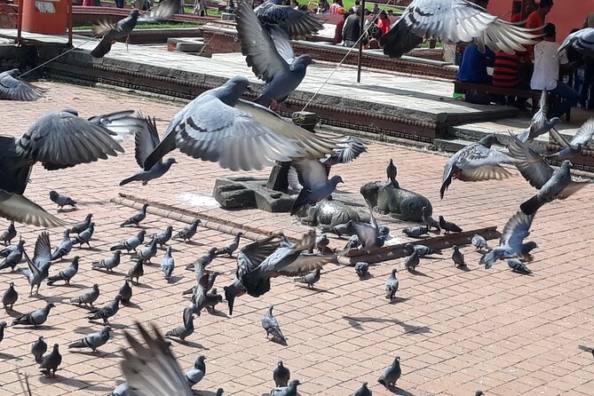 Kailash Mansarovar Yatra by Road via Kerung -Book 1 Month Earlier - Non-Refundable Policy and Lowest Price