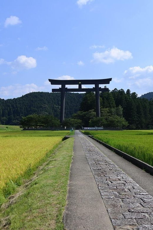 Kansai 10-Hour Chartered Day Trip|Wakayama City - Trip Overview and Pricing