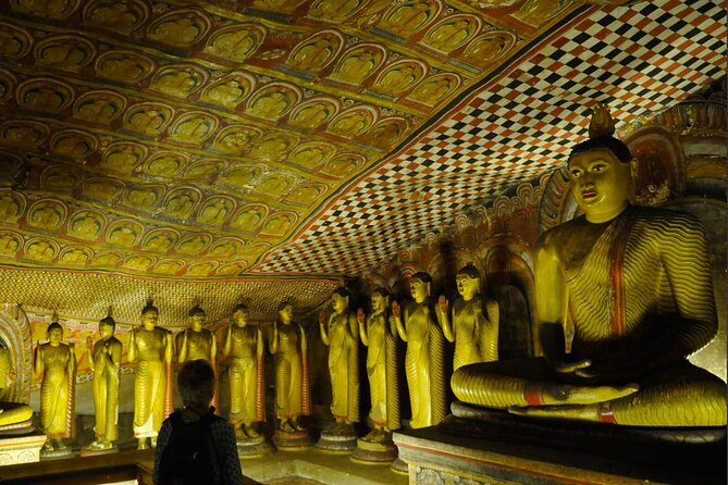 Kaudulla Jeep Safari & Dambulla Day Tour From Trincomalee - Price and Booking Information