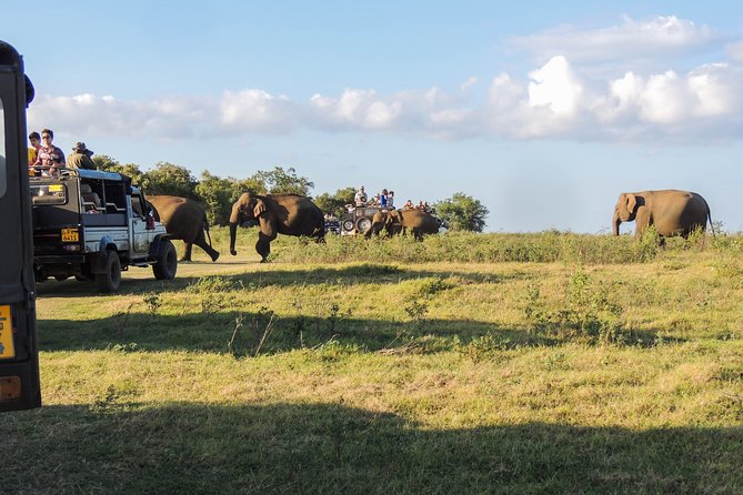 Kaudulla National Park Private Safari - Inclusions and Extras