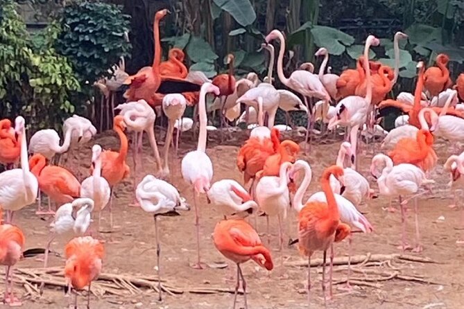 Kids Friendly Private Tour: Zoo Aquarium Safari or Amusement Park - Special Requests and Flexibility