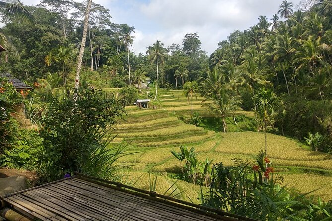 Kintamani Classic Tour - Guide and Meal Inclusions