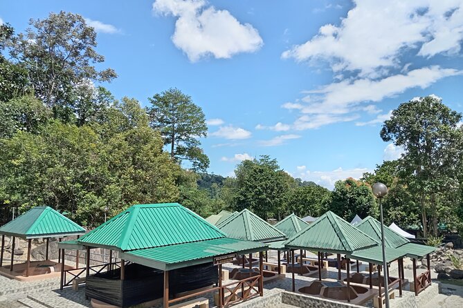 Kota Kinabalu to Kundasang Private Day Tour and Poring Hot SPA - Tour Operator