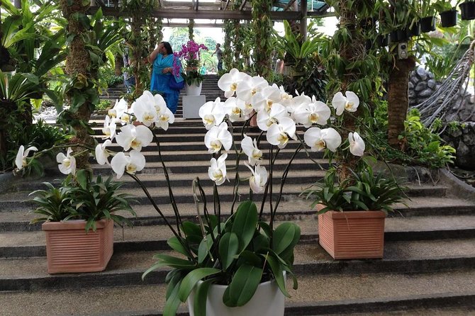 Kuala Lumpur Bird Park, Butterfly Farm And Taman Orkid Include All Entrance - Professional Guidance