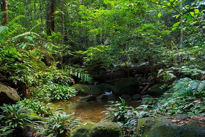 Kuching Kubah National Park - Additional Information
