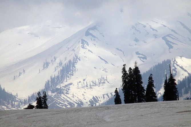 Laddakh the Dream Land With Valley of Kashmir & Taj - Included Services