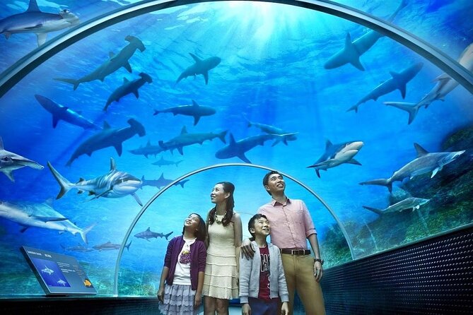 Langkawi Best Animal Attractions Plus City Tour - Exotic Animal Encounters