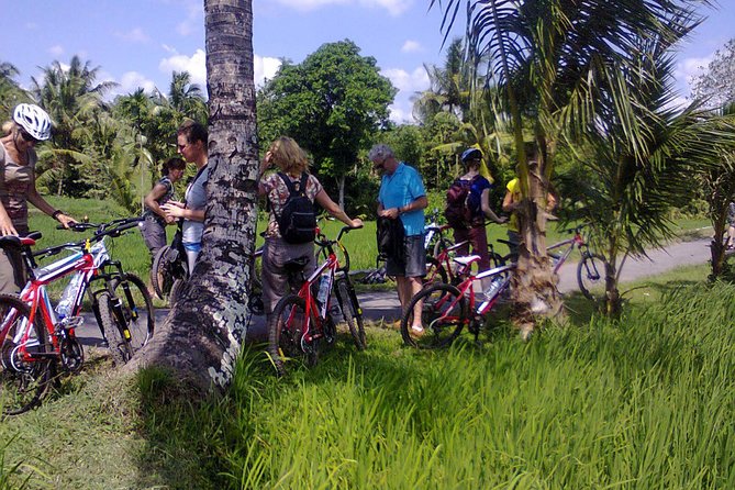 Lombok Cycling From Suranadi Hindu & Moeslim Village to Lingsar - Participant Information and Requirements