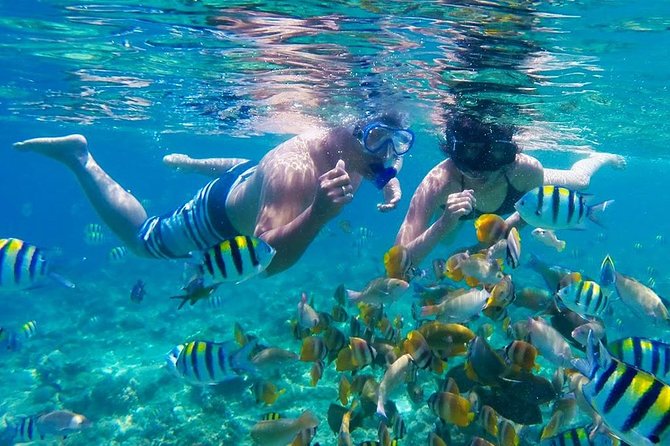 Lombok Pink Beach Island Hopping & Snorkeling With Japanese Speaking Guide - Availability and Guarantee