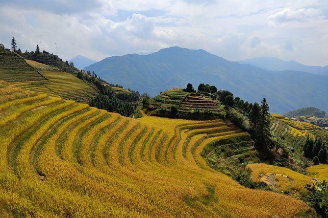 Longji Rice Terraces Day Tour From Xingping Hotel - Additional Information