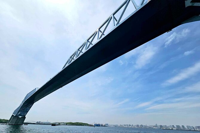 Luxury Private Cruise Tour in Tokyo - Pricing