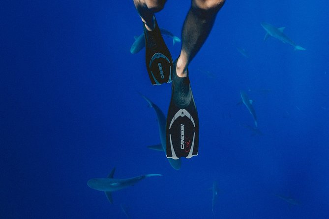 Maafushi: Discover Scuba Diving in Maldives (for Beginners) - Accessibility