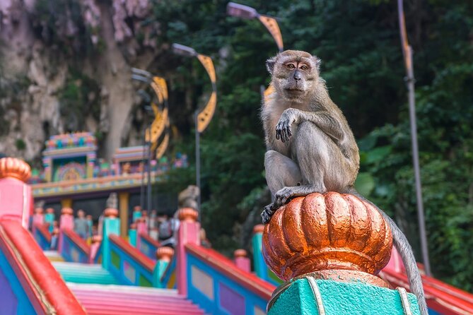 Malaysia Countryside and Batu Caves Tour From Kuala Lumpur - Transportation Details