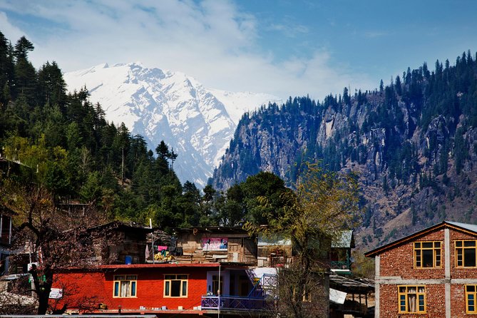 Manali Nature Trekking Experience (3 Hours Guided Experience) - The Sum Up