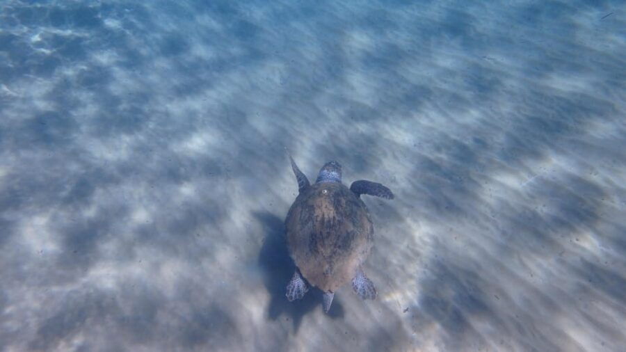 Mermaids in Kleftiko - Overview of Mermaiding Experience