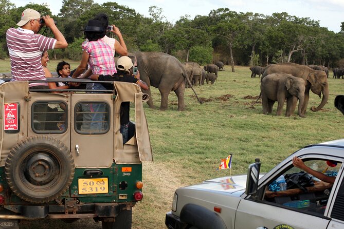 Minneriya Safari Tour From Sigiriya - The Sum Up