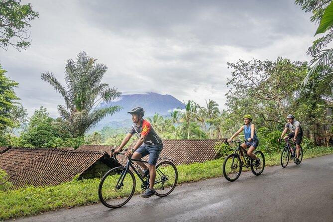 Mountain to Beach: Bali E-Bike Tour Including Roundtrip Transfer - Physical Requirements and Restrictions