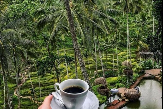 Mt. Batur Trekking With Hot Spring & Guide - Frequently Asked Questions