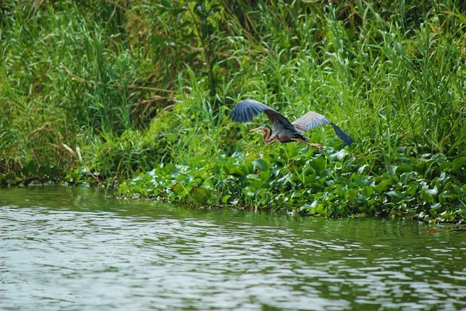 Muthurajawela Bird Watching Boat Tour - Meeting and End Point