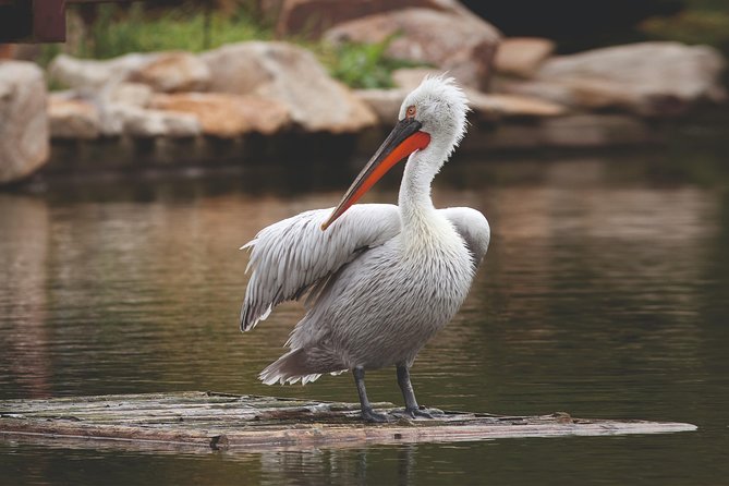 Nal Sarovar Bird Sanctuary & Lothal Day Tour From Ahmedabad - Inclusions and Exclusions