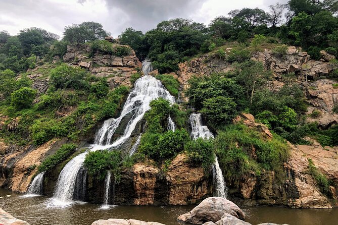 Nature Trails of Mysore (Guided Half Day City Sightseeing Tour) - Booking Details