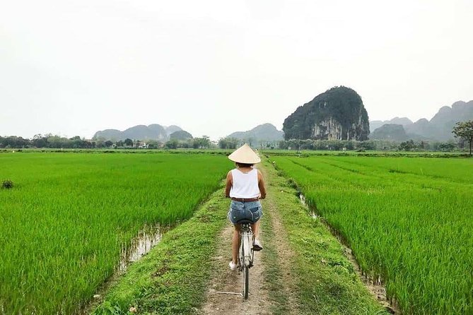 Ninh Binh: Hoa Lu - Tam Coc 1 Day Trip - The Sum Up