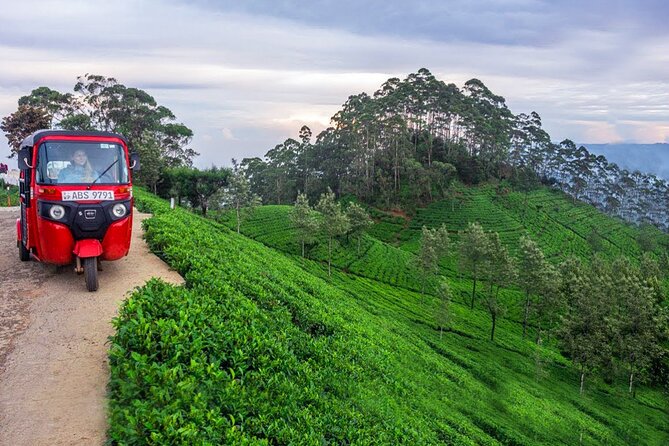 Nuwara Eliya Tuk Tuk Adventure - Meeting Point and Time