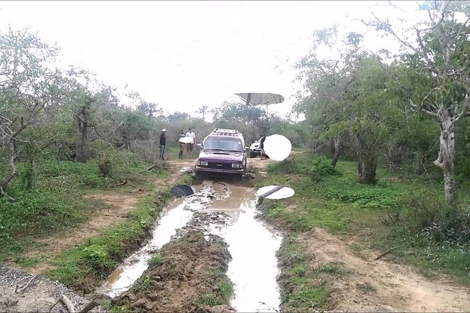 Off Road Adventure in Yala With Lunch From Hambantota Harbor - Booking Information