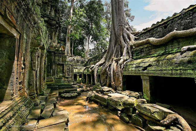 One Day Angkor Wat Sunrise With Lunch - Accessibility and Restrictions
