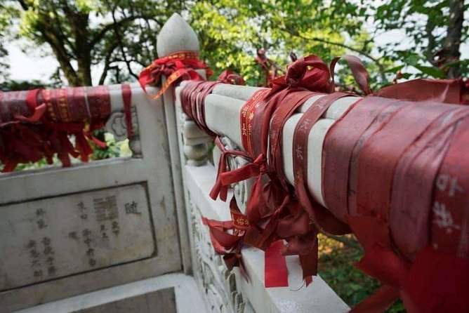 One Day Trip to Panda Base and Taoist Mt Qingcheng - Private Transfers and Logistics